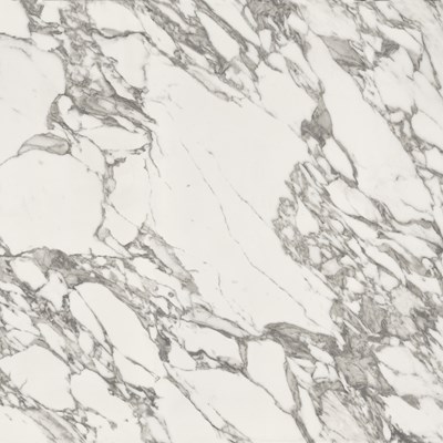 Arabescato Corchia (12mm)