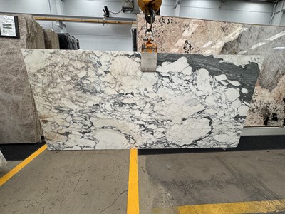 Arabescato Vagli Honed (Marble)