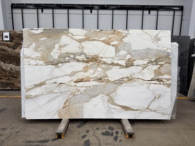 Calacutta Borghini Honed (Marble)