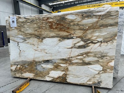 Calacutta Borghini / Macchia Vecchi Honed (Marble)
