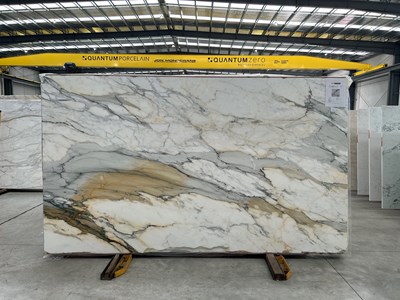 Calacutta Borghini / Macchia Vecchi Honed (Marble)