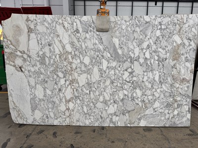 Calacutta Vagli Honed (Marble)