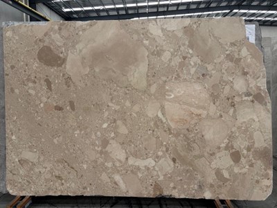 Ceppo Beige Honed (Marble)