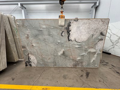 Bonsai Polished (Quartzite)