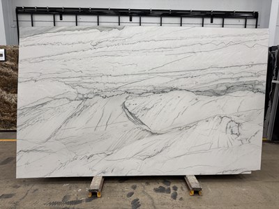 Infinity White Honed (Quartzite)