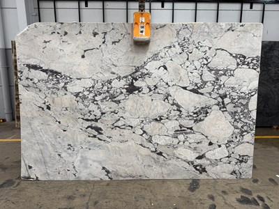 Arabescato Violetta Honed (Marble)