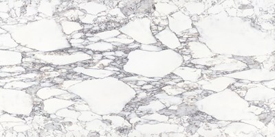 Arabescato Extra slab