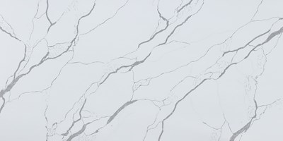 Calacutta Roma slab