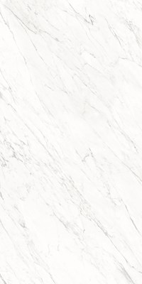 Sheet B