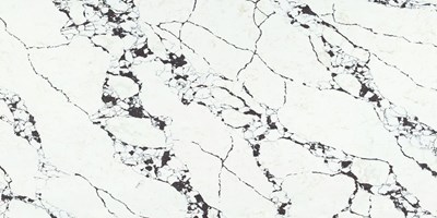 Viola Lusso slab